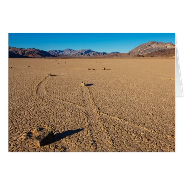 Kruispaden (Voorkant Horizontaal)