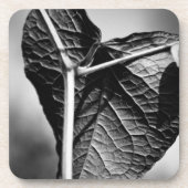 kruispunt bier onderzetter (Voorkant)