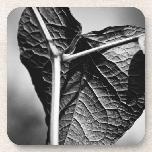 kruispunt bier onderzetter (Voorkant)