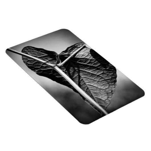 kruispunt magneet (Rechterzijde)