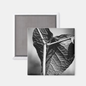 kruispunt magneet (Voorkant / Achterkant)