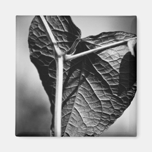 kruispunt magneet (Voorkant)