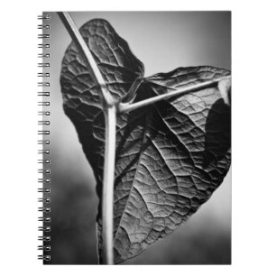 kruispunt notitieboek