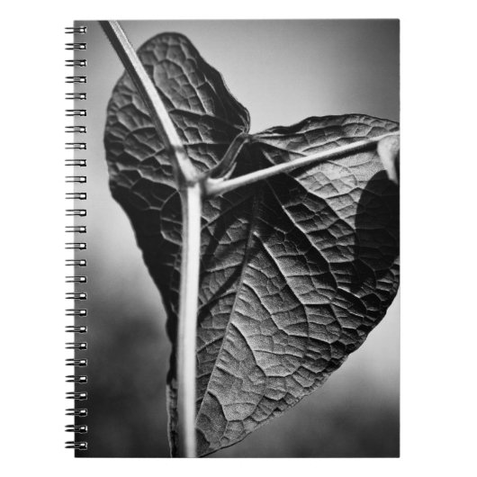 kruispunt notitieboek (Voorkant)