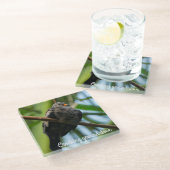 Kruispuntduif Glazen Onderzetter (Schuin)