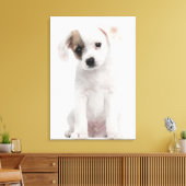 Kruispuppy (2 maanden oud) canvas afdruk (Insitu (Woonkamer))