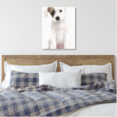 Kruispuppy (2 maanden oud) canvas afdruk (Insitu (Slaapkamer))