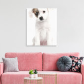 Kruispuppy (2 maanden oud) canvas afdruk (Insitu (Woonkamer))