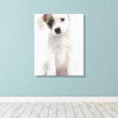 Kruispuppy (2 maanden oud) canvas afdruk (Insitu (Houten vloer))