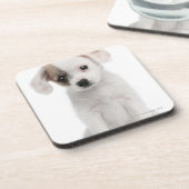 Kruispuppy (2 maanden oud) drankjes onderzetter (Linkerzijde)