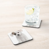 Kruispuppy (2 maanden oud) drankjes onderzetter (Rechterzijde)