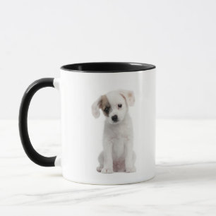 Kruispuppy (2 maanden oud) mok