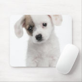 Kruispuppy (2 maanden oud) muismat (Met muis)