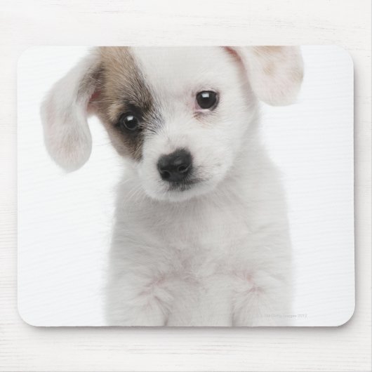 Kruispuppy (2 maanden oud) muismat (Voorkant)