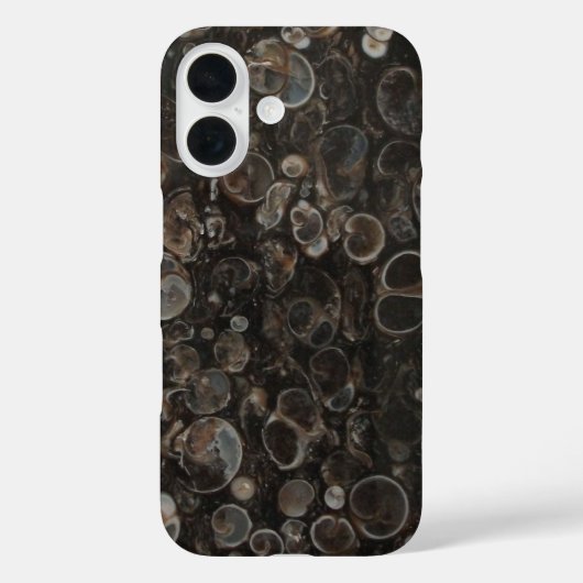 Kruissectie met turritella Agate Case-Mate iPhone Case (Achterkant)