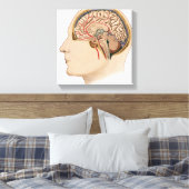 Kruissectie van de hersenen met slagaders canvas afdruk (Insitu (Slaapkamer))