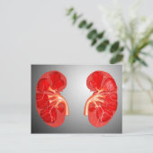 Kruissectie van de menselijke nier briefkaart (Staand voorkant)