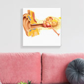 Kruissectie van de menselijke oor canvas afdruk (Insitu (Woonkamer))