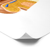 Kruissectie van de menselijke oor poster (Hoek)