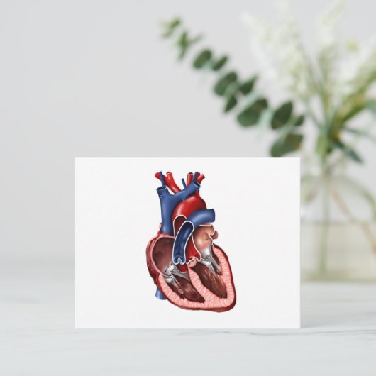 Kruissectie van het menselijk hart briefkaart (Staand voorkant)