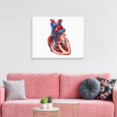 Kruissectie van het menselijk hart canvas afdruk (Insitu (Woonkamer))