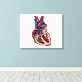 Kruissectie van het menselijk hart canvas afdruk (Insitu (Houten vloer))
