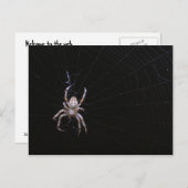 Kruisspin ~ briefkaart (Voorkant / Achterkant)