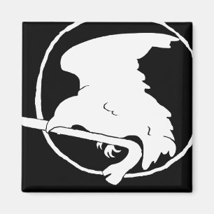 Kruisstaafmagneet wit/zwart, rond en vierkant magneet