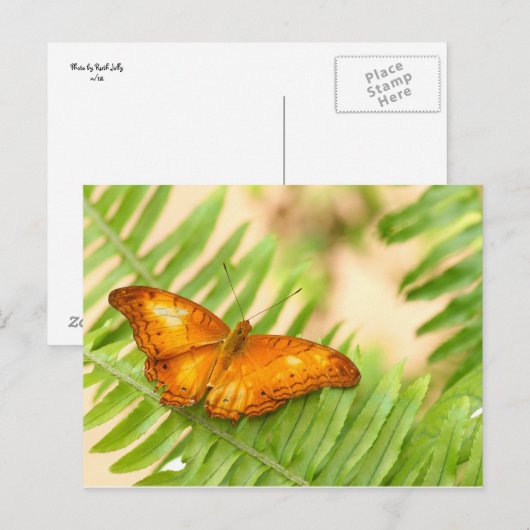 kruisvaarder briefkaart (Voorkant / Achterkant)