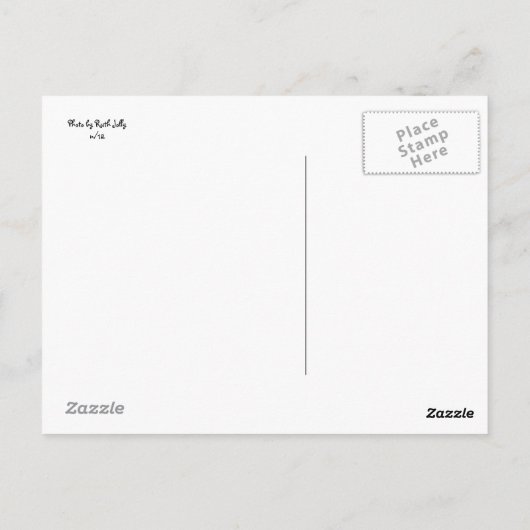 kruisvaarder briefkaart (Achterkant)