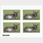 Kruitbruine baby ezel rechthoekige sticker (Vel)