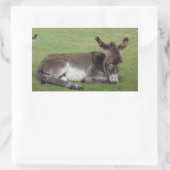 Kruitbruine baby ezel rechthoekige sticker (Tas)