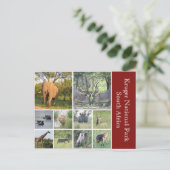 kruivee briefkaart (Staand voorkant)