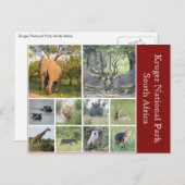 kruivee briefkaart (Voorkant / Achterkant)