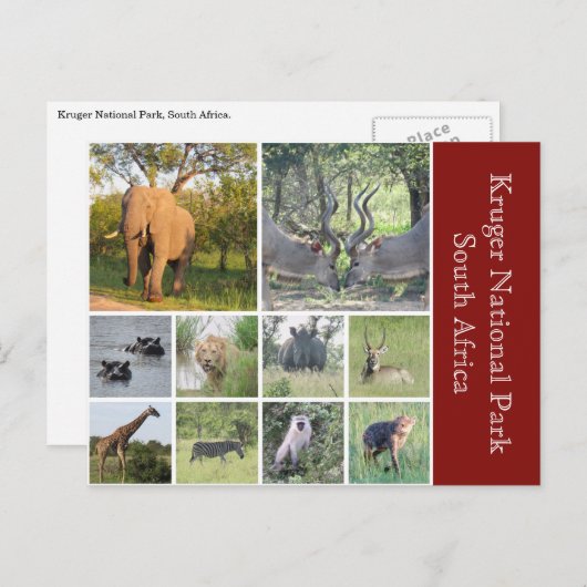 kruivee briefkaart (Voorkant / Achterkant)