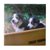 kruiwagen tegeltje (Voorkant)