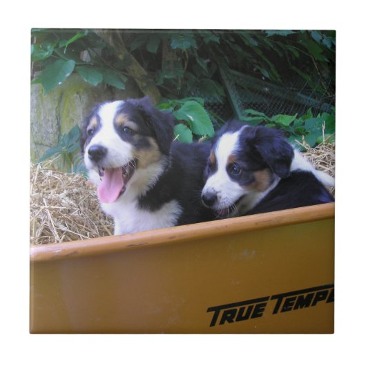 kruiwagen tegeltje (Voorkant)