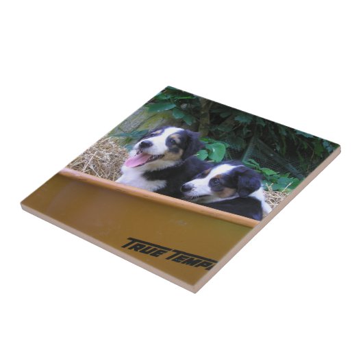 kruiwagen tegeltje (Zijkant)