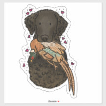 Krulhaar Retriever Autodecal