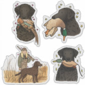 Krullende Retriever Autodecal Sticker (Voorkant)