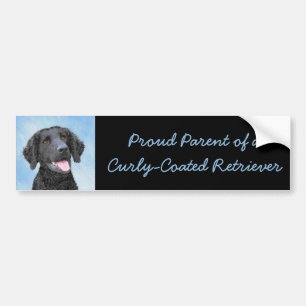 Krullende retroflecterende schilderijen - Oorspron Bumpersticker