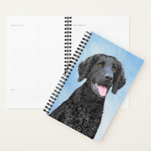 Krullende retroflecterende schilderijen - Oorspron Planner (Display)