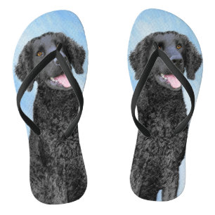 Krullende retroflecterende schilderijen - Oorspron Teenslippers