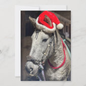 Krullpaard Bedankkaart (Voorkant)