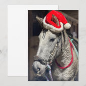 Krullpaard Bedankkaart (Voorkant / Achterkant)