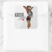 Krush Graphix van Ahsek Novel Stickers 20 (Tas)