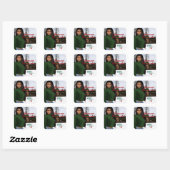 Krush Graphix van Ahsek Novel Stickers 56 (Vel)