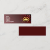 KRW Aangepaste kaart voor Zodiac-signalering met k Mini Visitekaartje (Voorkant / Achterkant)