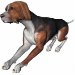 KRW Black en Tan Coonhound Staand Fotobeeldje<br><div class="desc">KRW Black en Tan Coonhound Photo Sculpture - Kan een magneet,  versiering,  sleutelketen,  pin of in een beeldschermstandaard zijn</div>