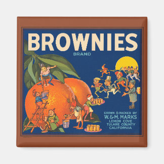 KRW  Brownies Oranje Fruit Crate Label Magn Magneet